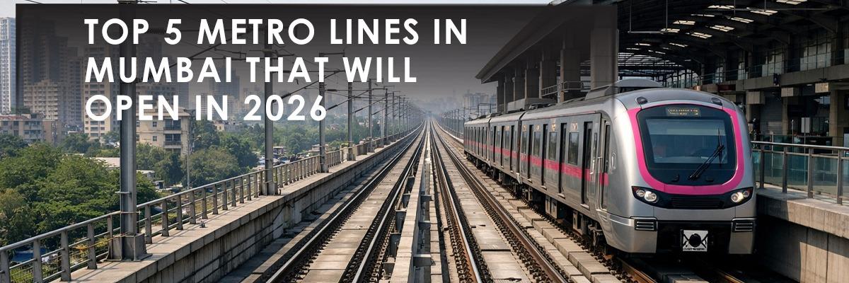 Blog banner image