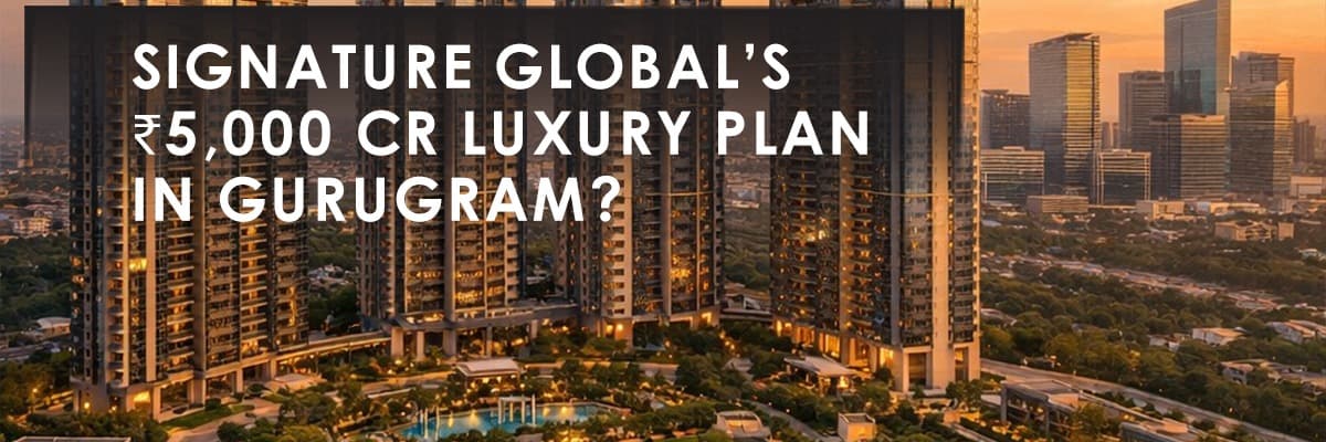 Blog banner image