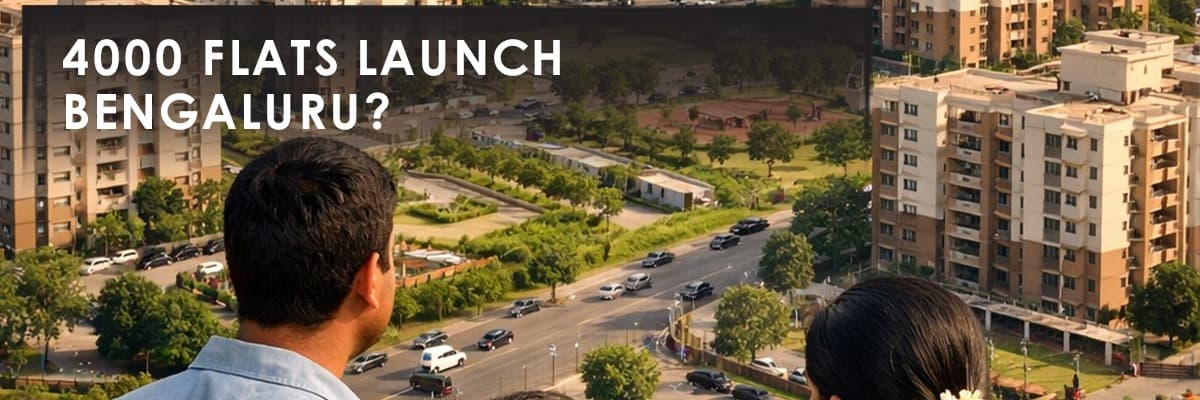 Blog banner image
