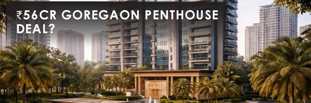 Blog banner image