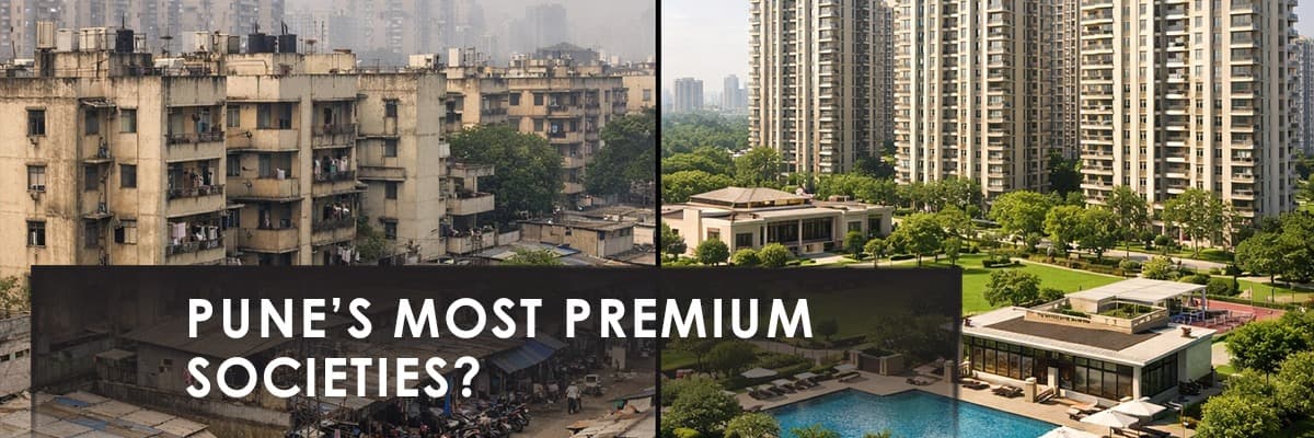 Blog banner image