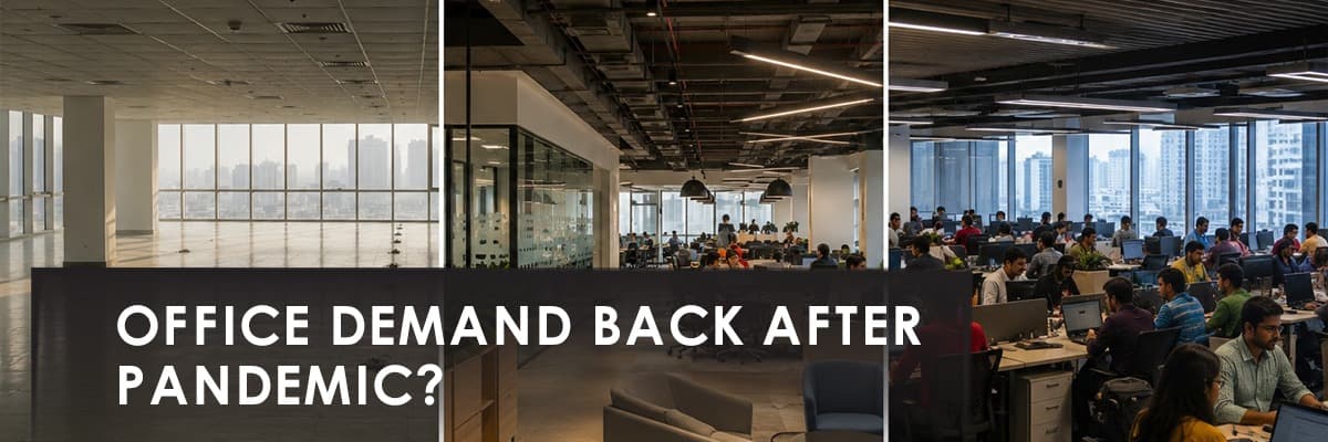 Blog banner image