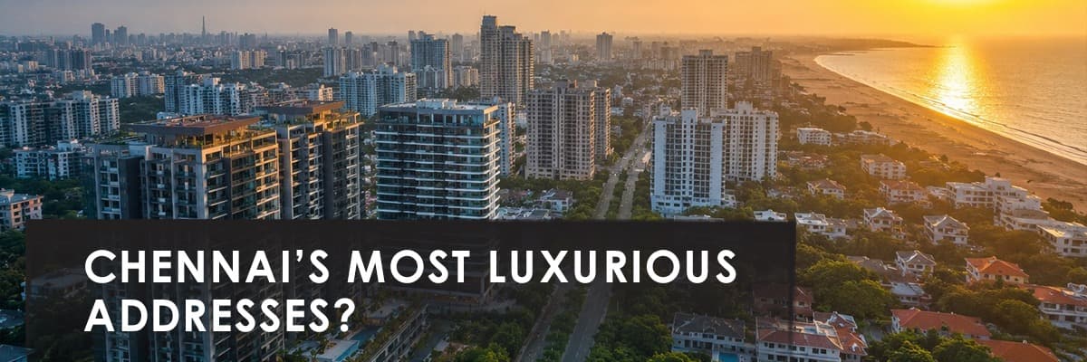 Blog banner image