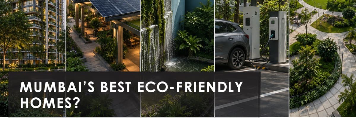 Blog banner image