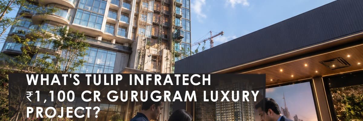 Blog banner image