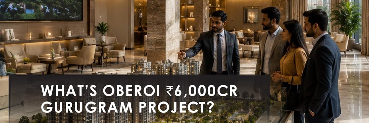 Blog banner image