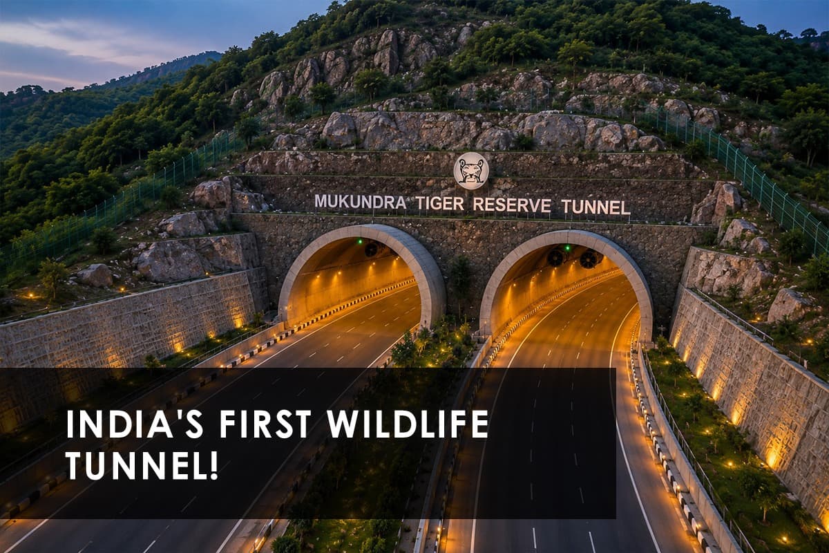 Mukundra Tiger Reserve Tunnel Explained: The Most Complex Structure on India's Biggest Expressway - Featured blog image