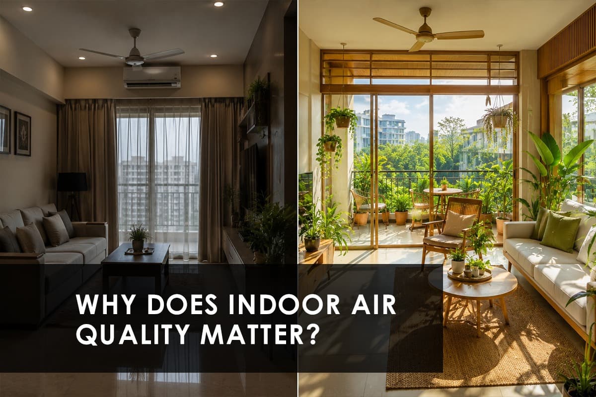 Eco-Friendly Homes and Better Indoor Air Quality - Featured blog image