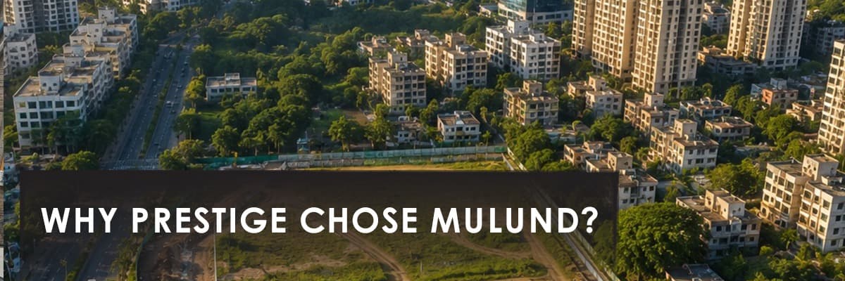Blog banner image