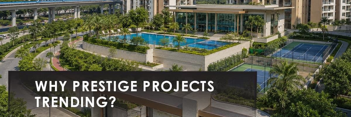 Blog banner image