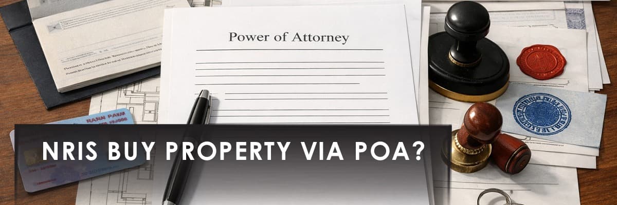 Blog banner image