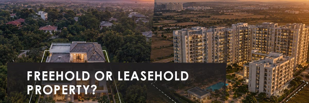 Blog banner image